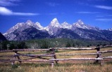 5-Day Yellowstone, Grand Teton & Don King's Western Museum Bus Tour from Denver (with airport transfer) (1 Night in Canyon Lodge)
